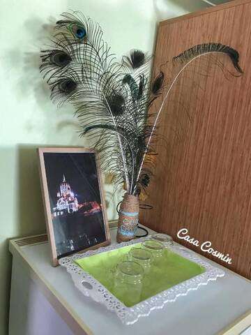 Фото номера Апартаменты с общей ванной комнатой Гостевой дом Casa Cosmin Cincu г. Cincu 2